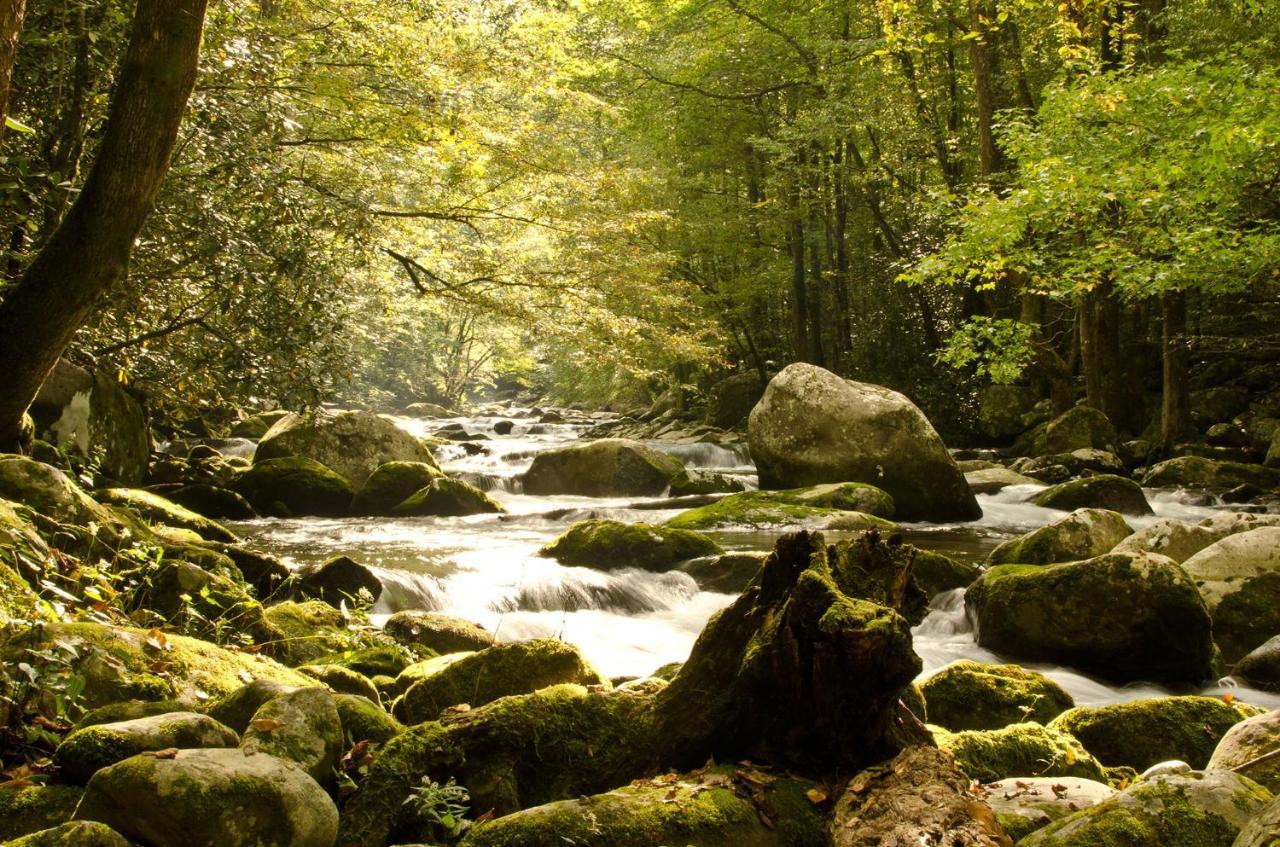 Вілла Woodland Escape Піджен-Фордж Екстер'єр фото